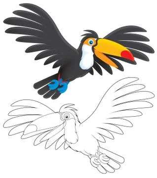 Toucan Stock Illustration