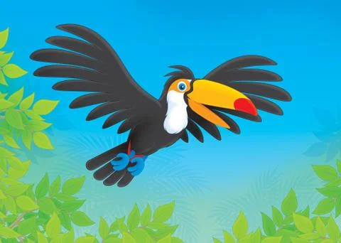Toucan Stock Illustration