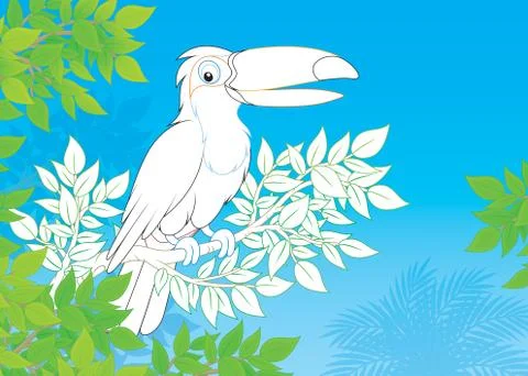 Toucan Stock Illustration