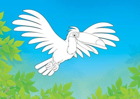 Toucan Stock Illustration