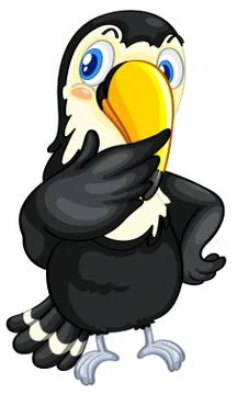 Toucan イラスト素材
