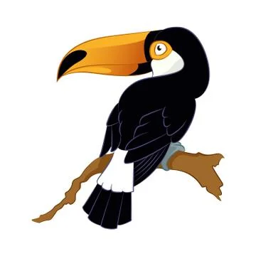 Toucan Stock Illustration