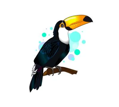 Toucan Stock Illustration
