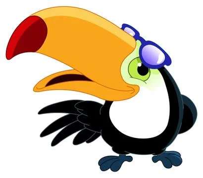 Toucan イラスト素材