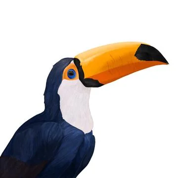 Toucan Stock Illustration