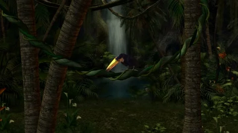 Toucan In The Jungle Stock Footage 5875317