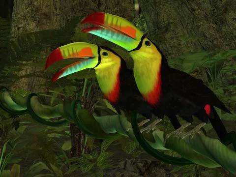 Toucan jungle Stock Illustration