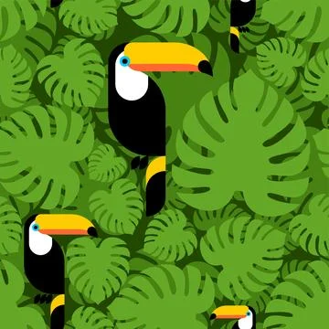 Toucan pattern seamless. tropical bird background. Toucans and Monstera textu 스톡 일러스트