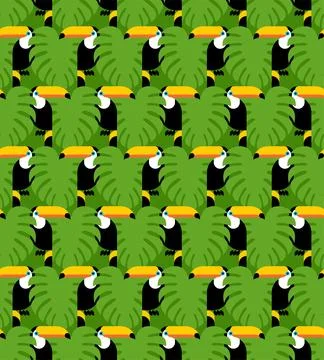 Toucan pattern seamless. tropical bird background. Toucans and Monstera textu 스톡 일러스트