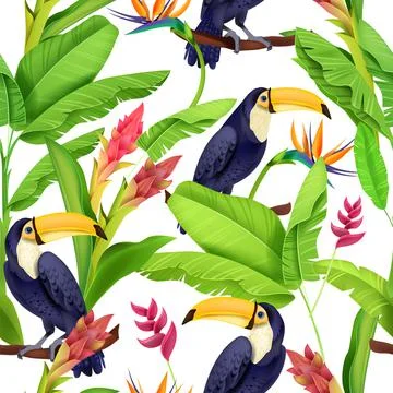 Toucan seamless pattern, vector tropical jungle texture, exotic bird, summer Illustration