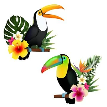 Toucan Set Stock Illustration