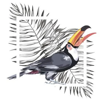 Toucan with tropical leaf. Element for design of invitations, movie posters Stock-Illustration