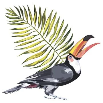 Toucan with tropical leaf. Element for design of invitations, movie posters Stock-Illustration