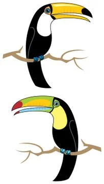 Toucans Stock Illustration