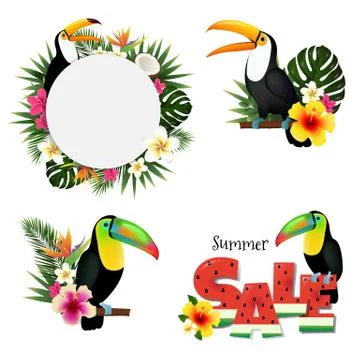 Toucans Set Stock Illustration
