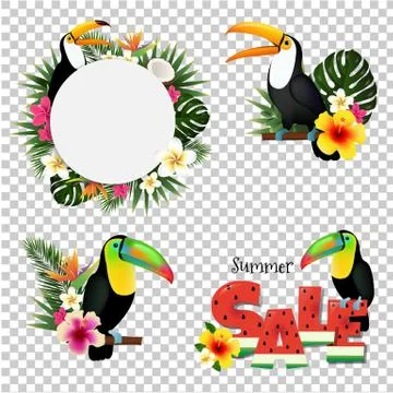 Toucans Set Stock Illustration
