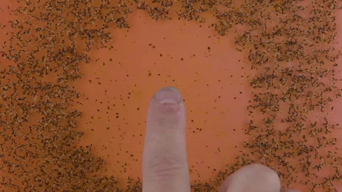 Touch Activated Pepper Transition Dispersion Effect Organic Overlays Pink Space Stock Footage 295926542