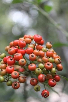 A Touch of Autumn Stock Photos