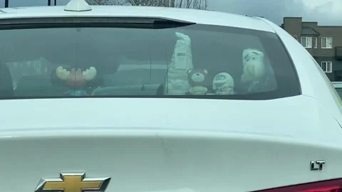 A touch of back seat strangeness Stock Footage 221525750
