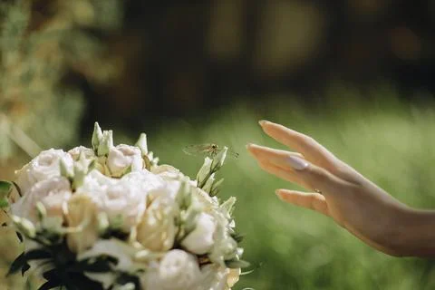 Touch of Elegance Фото