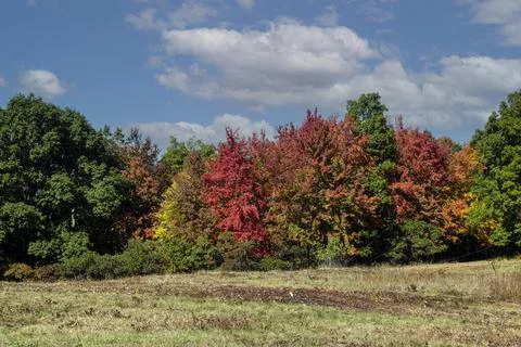 Touch of fall in new england Stock Photos