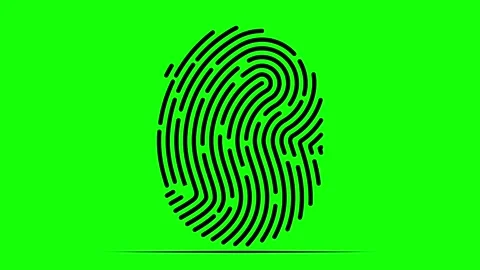 Touch fingerprint tech animation on green screen for futuristic security visuals Stock Footage 314434459