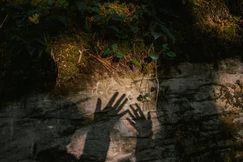 The touch of the hand. Shadow of palms on the stone, the moss and paporotnika Stock Photos