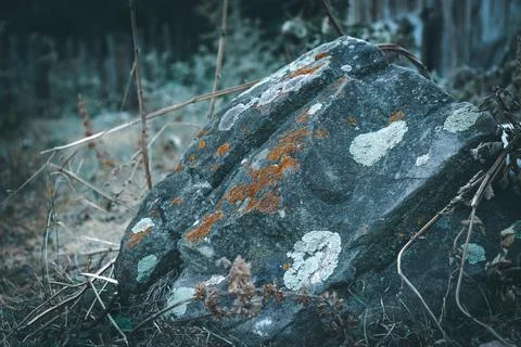 A touch of magic Stock Photos