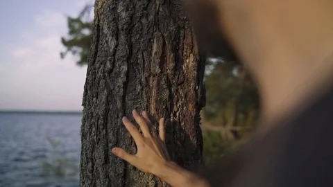 Touch with nature Stock Footage 104640547