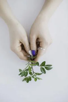 Touch of Nature Foto stock