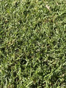 Touch of Nature Stock Photos