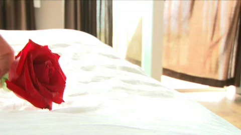 A Touch of Romance Stock Footage 563548