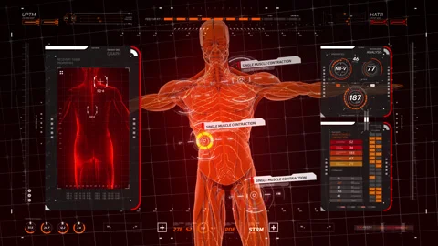 Touch Screen Interface showing muscle work. X-ray scan of muscle tissue Stock Footage 145127343