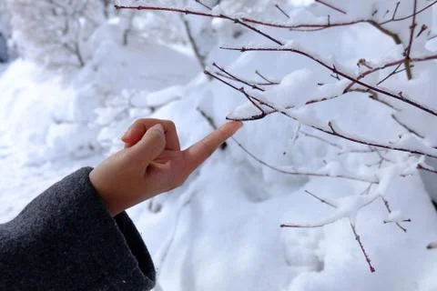 Touch on the snow Stock Photos