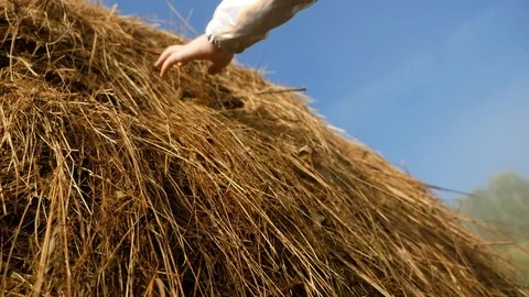 Touch to straw with your hand Stock-Footage 95808875