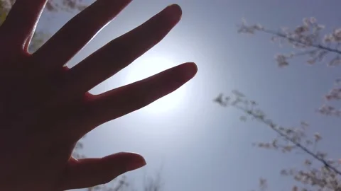 Touch the sun Stock Footage 237812669