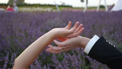 The touch of two lovers' hands Stock Footage 268190467
