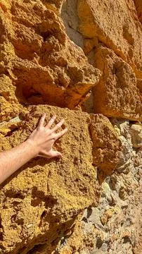 Touching the Ancient Stone Stock Photos