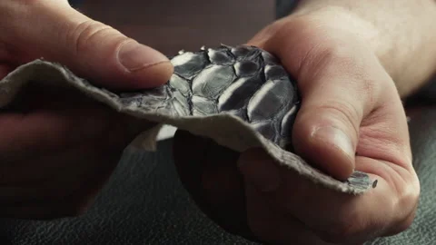 Touching black snake leather with hand close-up, production handmade accessories Stock Footage 157075908