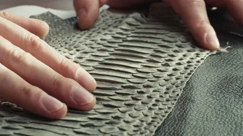 Touching black snake leather with hand close-up, production handmade accessories Stock Footage 157236964