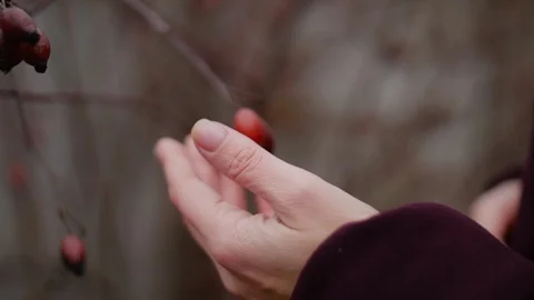 Touching of Briar HD Vidéo 95788427