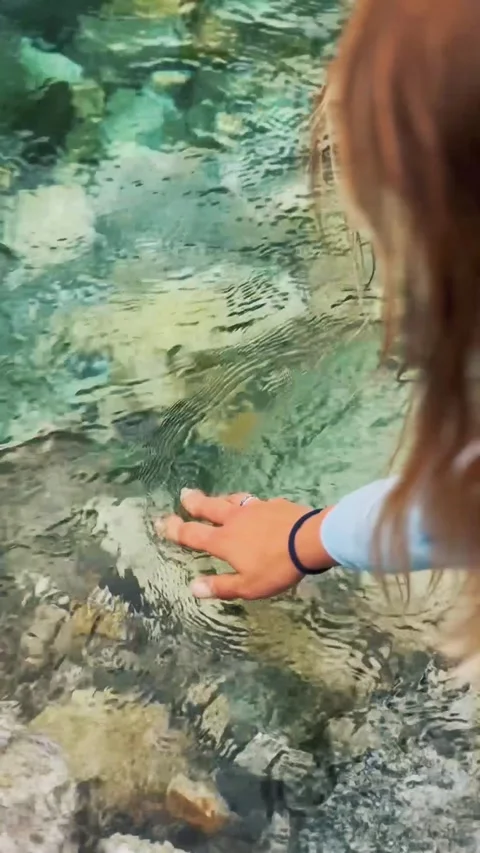 Touching Cold Mountain Stream Stock Footage 320117241