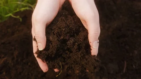 Touching dry ground with hands close-up, preparing organic soil for planting Stock Footage 157074311