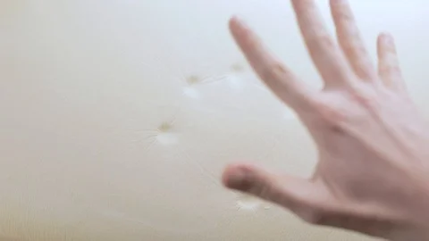 Touching a memory foam mattress Stock Footage 127639586