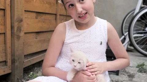 A touching moment between pet and its owner. A fluffy beige kittens kisses its Stock Footage 222841732