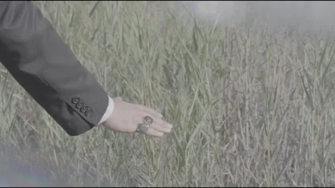 Touching Nature Video stock 314903713