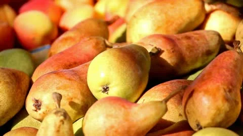 Touching the pear Stock Footage 12203581