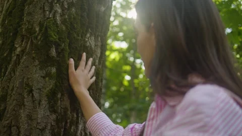 Touching a tree on sunny day in the park close up macro. Woman in the forest Stock Footage 256172143