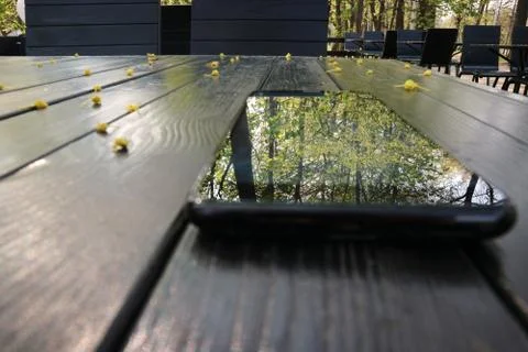 The touchscreen phone is on the table and reflects the trees in the Park. Stock Photos