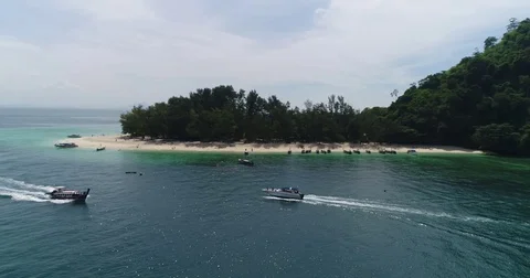 Tour boats beached on a sand spit under casuarina trees 動画素材 71298875